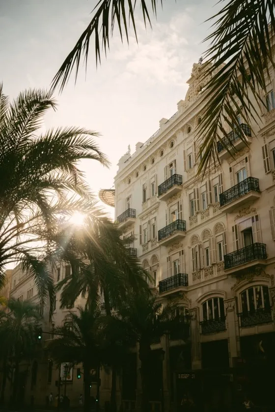 Pálmafák és késő délutáni napfény egy valenciai utcán